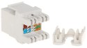 ZŁĄCZE KEYSTONE FX-RJ45-65*P100